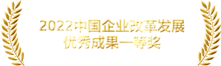 奖项