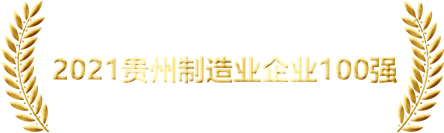 奖项