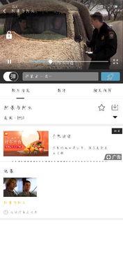 吃瓜表白全文百度云网盘,一场别开生面的云端爱情故事