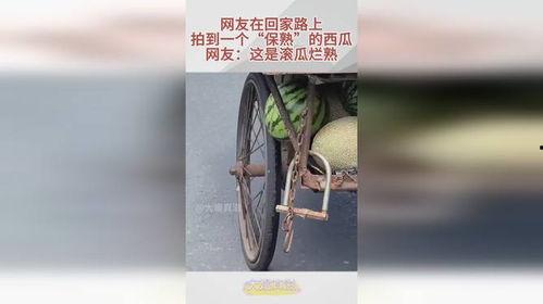 吃瓜网最新回家的路线,最新回家路线大公开，轻松应对出行难题